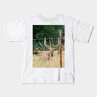 Elk With Antlers Behind Fence Nature Photography Kids T-Shirt